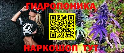 индика Обнинск