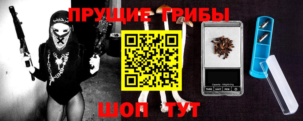 Галлюциногенные грибы Psilocybine cubensis Тихвин