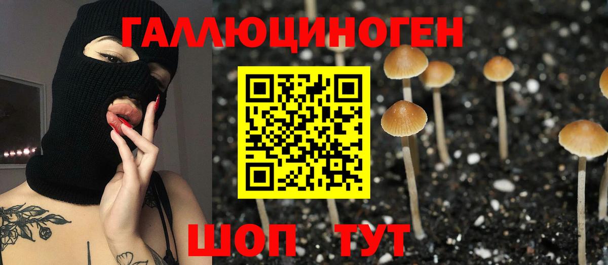 Тихвин  Псилоцибиновые грибы мицелий  Вход с VPN 